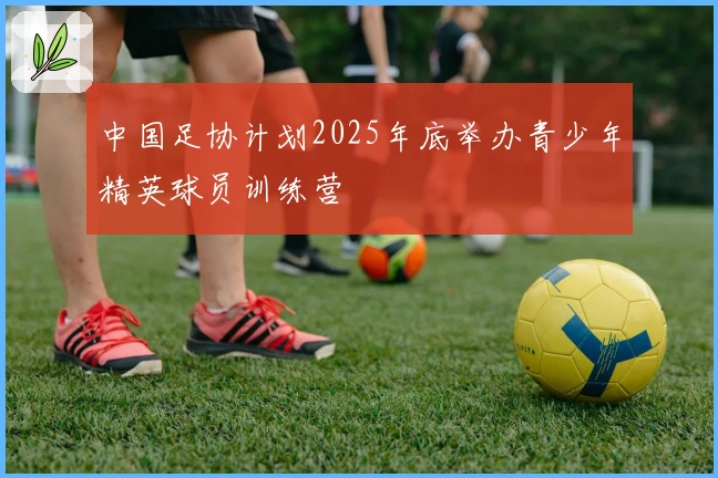 中国足协计划2025年底举办青少年精英球员训练营