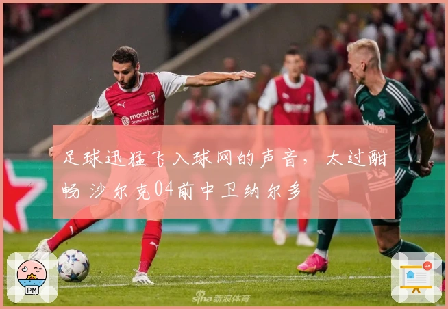 足球迅猛飞入球网的声音，太过酣畅 沙尔克04前中卫纳尔多
