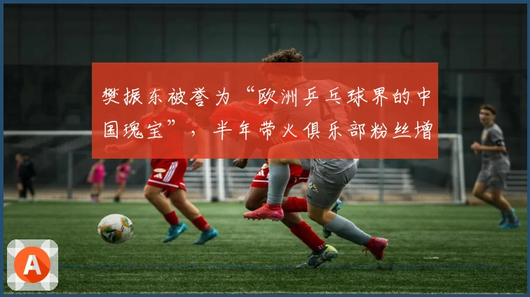 樊振东被誉为“欧洲乒乓球界的中国瑰宝”，半年带火俱乐部粉丝增长数十倍