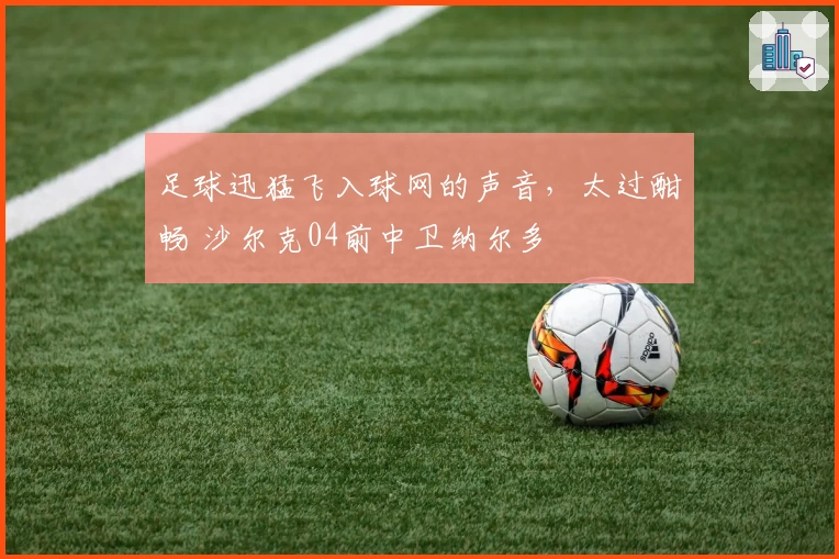 足球迅猛飞入球网的声音，太过酣畅 沙尔克04前中卫纳尔多